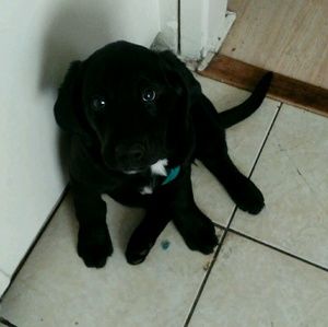 Meet your Posher, Jordan